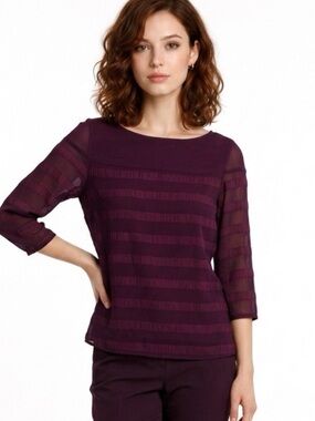 Banana Republic Sheer Striped Top Size Small